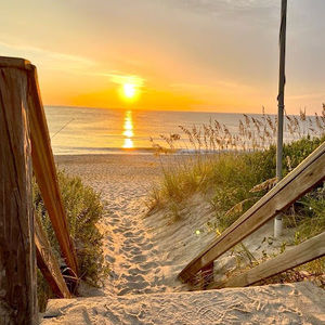 Meet your Posher, Taryn